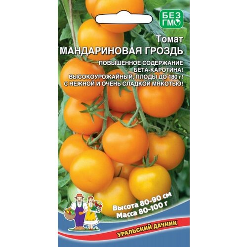 ���� ������ ����� ������������ ������ 20�� ����� ������ (��������� ������), ������ �� 43 ���