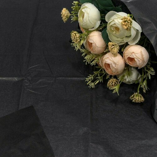 ���� ����������� ������, ����� (0,5*0,65 �) ������, 10 ��., ������ �� 499 ���