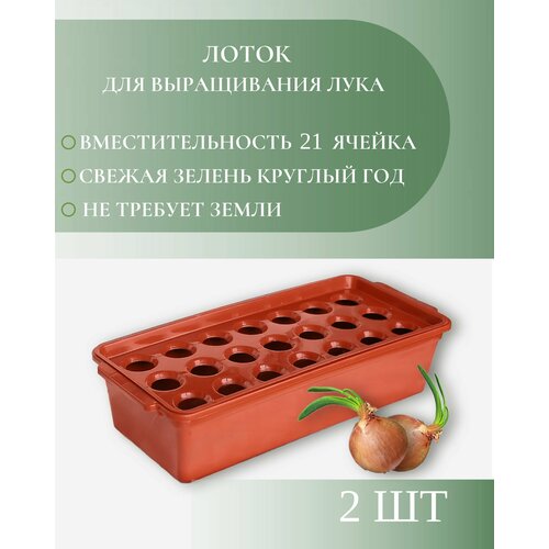 ���� ����� ��� ����������� ����, 21 ������, ������ �� 690 ���