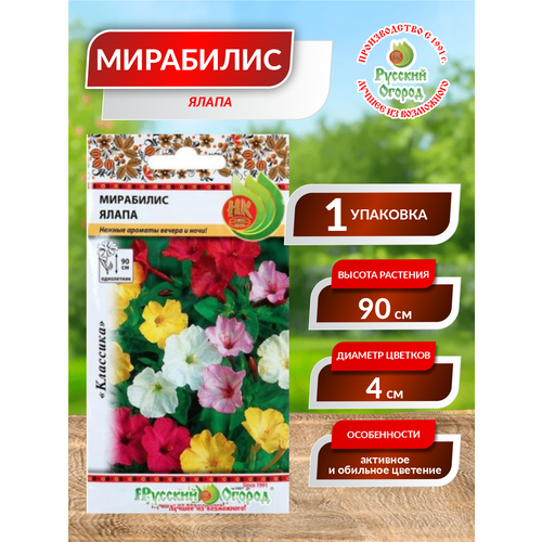 ���� ������. �����. ��������� 