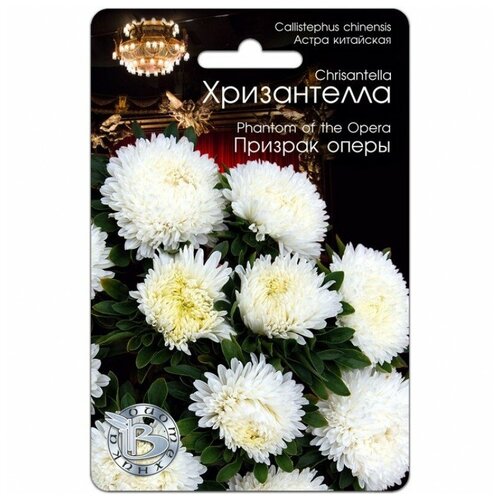 ���� ������ ����� ����������� 