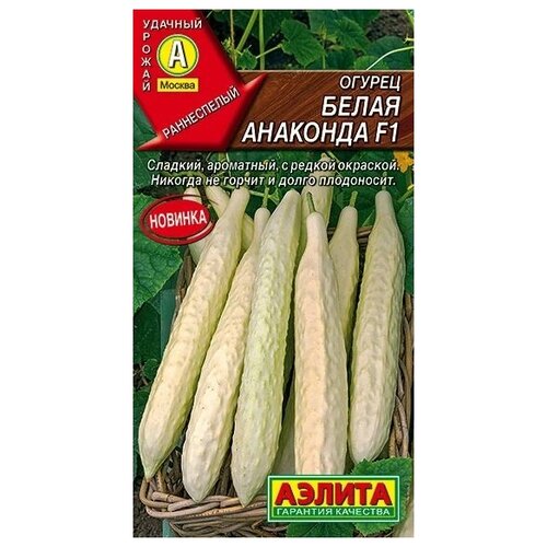 ���� ������. ������ 