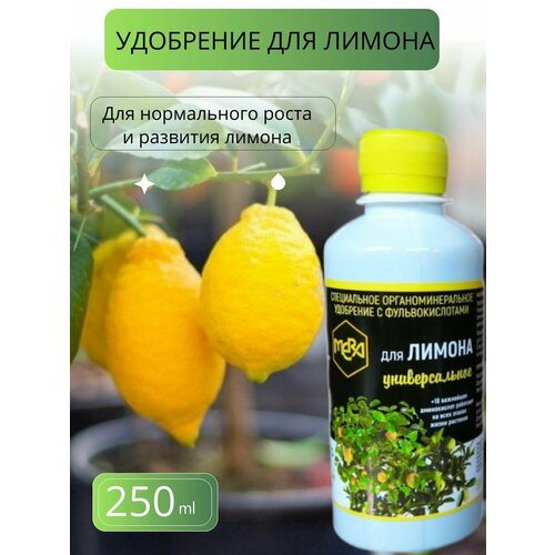 ���� ���� ��� ������ 0,25 �, ������ �� 350 ���