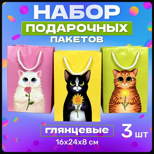 ���� �������� ������ � ������� ���������� ���������� ��� ��������, ����� ������� ����������� �� ���� ��������, ����� ���, 8 �����, 23 �������, � ������ 3 ��, ������ �� 299 ���