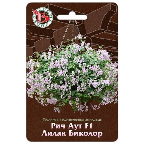 ���� ������ ���������� ������������ ��������� 