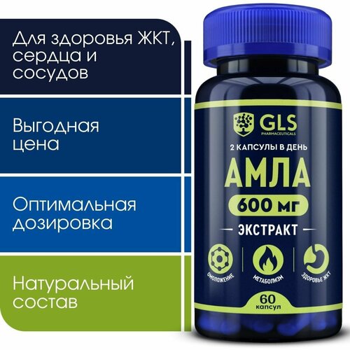 ���� ���� 600�� (������� ��������), �������� / ���� ��� �������� ���, 60 ������, ������ �� 414 ���