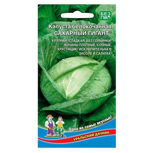 ���� ������ ��������� ������ ������� ������������ �������� ������, 0,3 �, ������ �� 239 ���