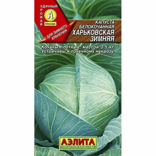 ���� ������ ������� ������������ ����������� ������ �. (������) 0,5�, ������ �� 41 ���