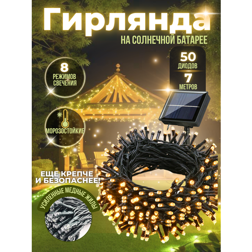 ���� �������� ������� �� ��������� ������� ����������� ��� ����, ����, ����, ������������, ����������������� 7 � 50 ����, ������ �� 806 ���