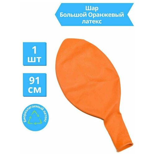 ���� ��� ������ ��������� 36 �/91 ��, ������ �� 230 ���