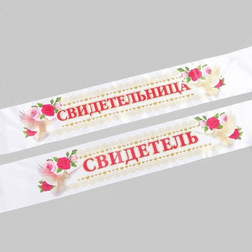 ���� ����� ���� 