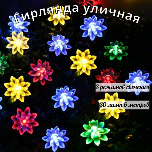 ���� ������������ �������� �� ��������� ������� 30 ���� 6,5 �����, ������ �� 790 ���