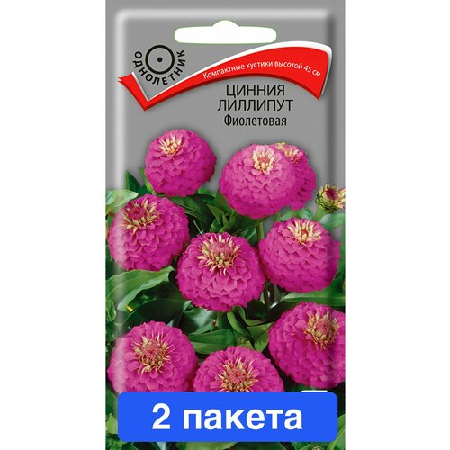 ���� ����� ������ �������� ���������� 2 ������, ������ �� 447 ���