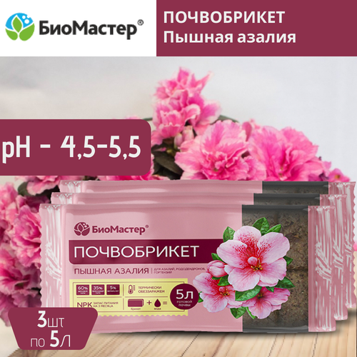 ���� �������� ����������� ������ ������, ��������� 5 �, 3 �����, ������ �� 540 ���