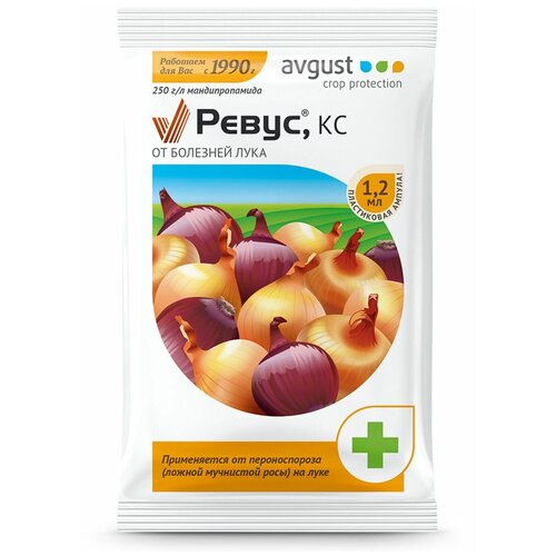 ���� Avgust �������� �� �������� ���� �����, ��, 1.2 ��, 1.2 �, ������ �� 25 ���