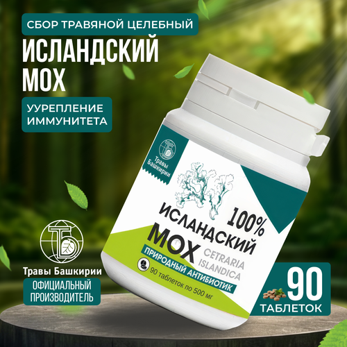 ���� ���� �������� �������� 