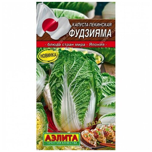 ���� ������. ������� ��������� 