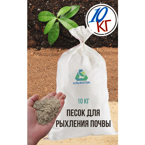 ���� ����� ��� �������� ������ (�����), ��� ����������, ��� �������� (������, ����� � ��.), ����� 10 ��, ������ �� 999 ���