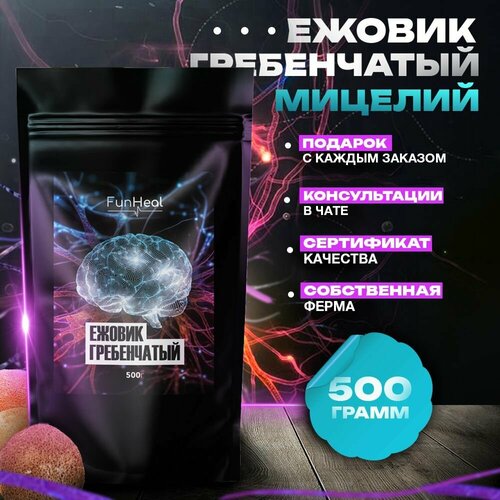 ���� ������ ����������� ������� �������, ������ �� 2801 ���