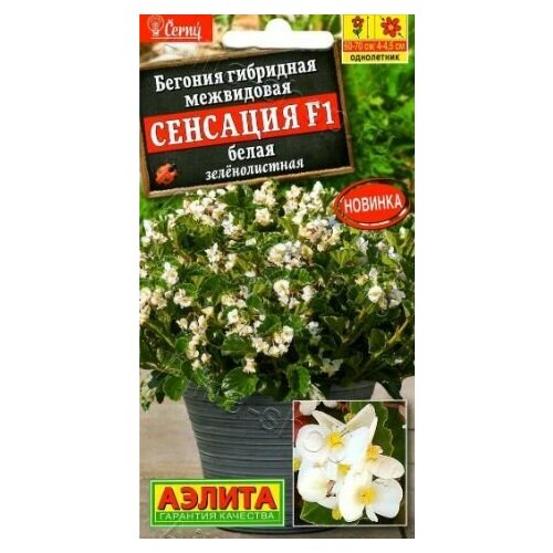 ���� ������� ��������� �������� ����� ������������� F1 ( 3 �������� ) , ������, ������ �� 519 ���