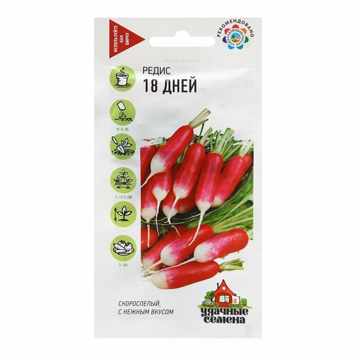 ���� ������ ����� 