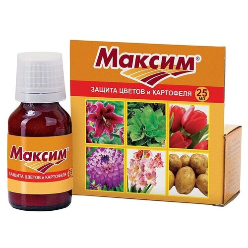 ���� ���� ��������� �������� �������-����������� �������� ������, 25 ��, 75 �, ������ �� 262 ���