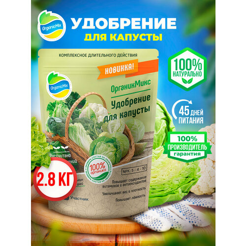 ���� ��������� ��� �������, ��������, ���������, ������������, ������, ������ �� 444 ���