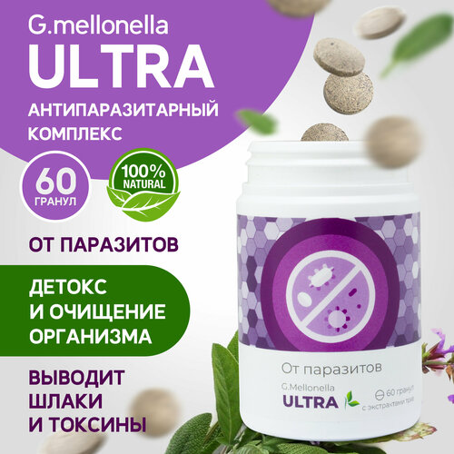 ���� ������� ������ - ���������������� ��������, ������, �������� ���������, �� ������ � �������� 60 ������, ������ �� 840 ���