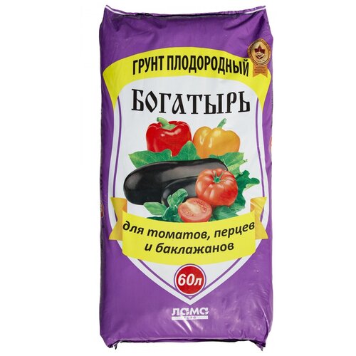 ���� ����� �������� �������� ��� �������, ������ � ����������, 60 �, 13 ��, 3 ��., ������ �� 2053 ���