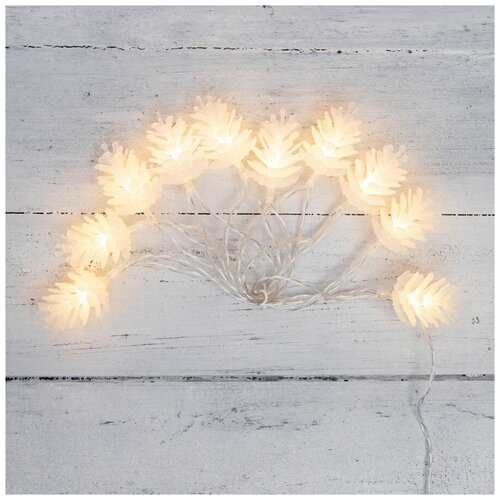 ���� �������� NEON-NIGHT 303-098, 1 ��. � ������, 1.5 �, 10 ����, ������ �����/���������� ������, ������ �� 470 ���