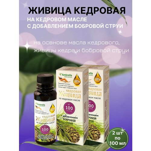 ���� ������ �������� �� ���� ����� � �������� ������, 2�� �� 100��, Ambrella, ������ �� 797 ���