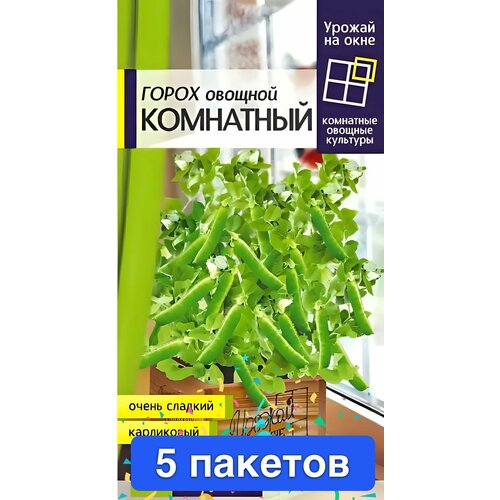 ���� ������ ������ ������ ����� 