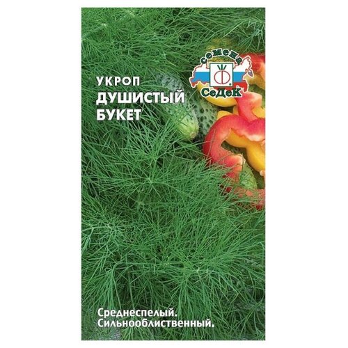 ���� ������ ����� ����� �������� �����, ������ �� 46 ���