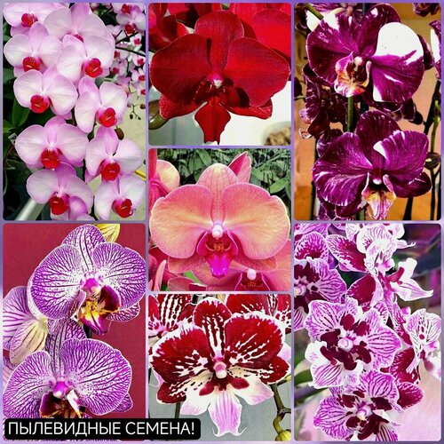 ���� ������ ������� ���������� ����� ������ 