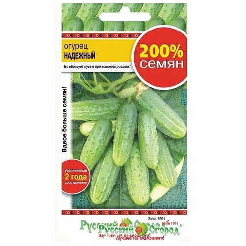 ���� ������. ������ 