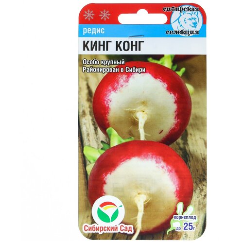 ���� ������ ����� ����-����, 2 �, ������ �� 482 ���