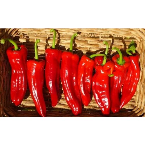 ���� ������������� ������ ����� �������� ������, ������ �� 127 ���