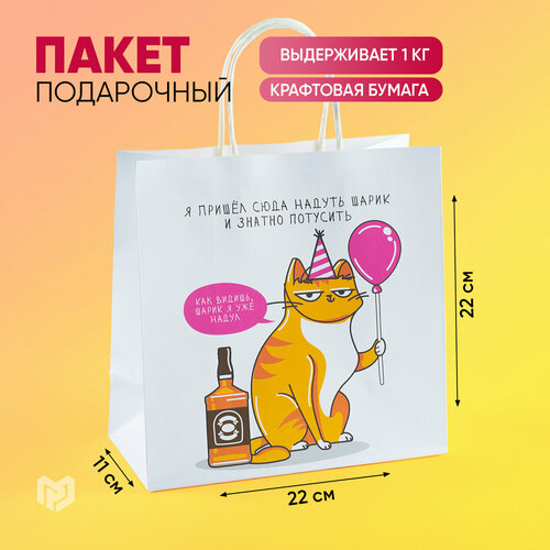 ���� ����� ���������� �����, 22 ? 22 ? 11 ��, ������ �� 177 ���