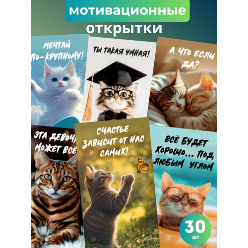 ���� ���� �������� ������������� �������� � ����������� 30 ��, ������ �� 298 ���