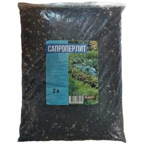 ���� ��������� ����������� 