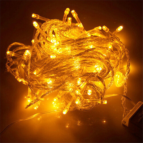 ���� �������� 