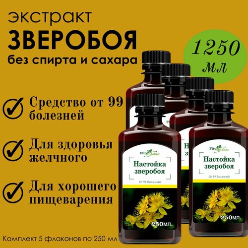 ���� �������� �������� 