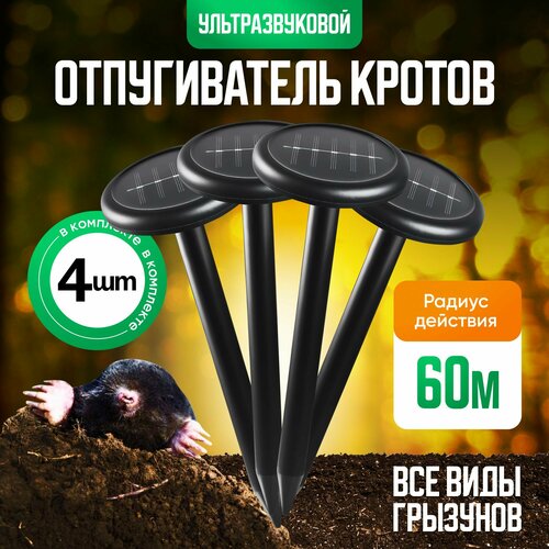 ���� ������������ �������������� �� ��������� ������� �� ������, �����, ���������, ����, 4��., ������ �� 2400 ���