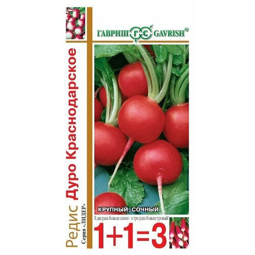 ���� ������ ����� 