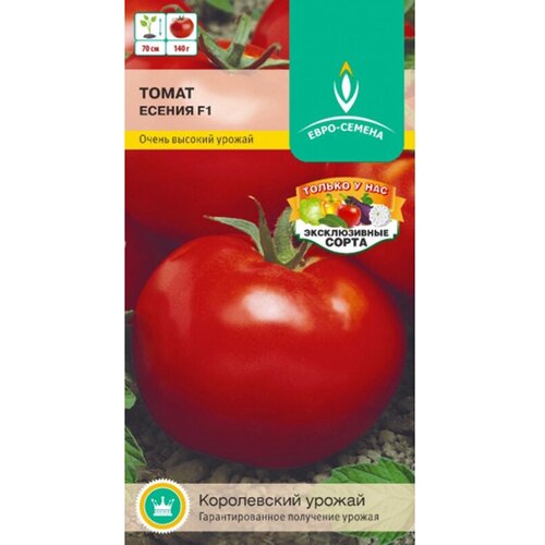 ���� ����� ������ F1. ������. ������������ ��������������� ������. �������� ������� 65-70 ��. ����� ����� �������, ���� �������, ������ �� 140 ��., ������ �� 89 ���