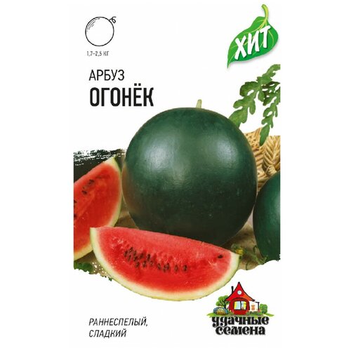 ���� ����� ������ 1 �����, ������� ������, ������ �� 455 ���