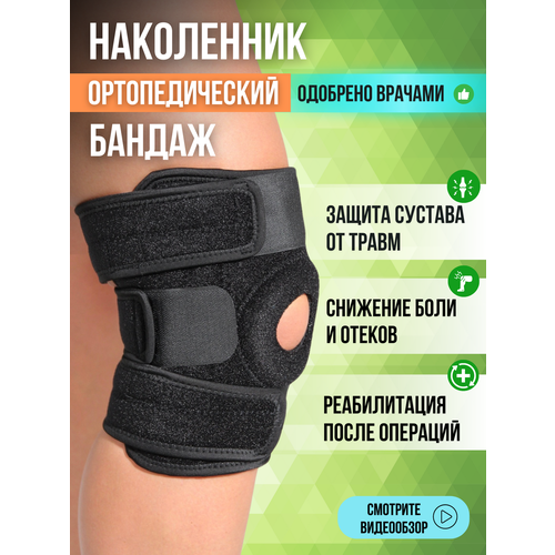           .   . , ,    ,   1295 