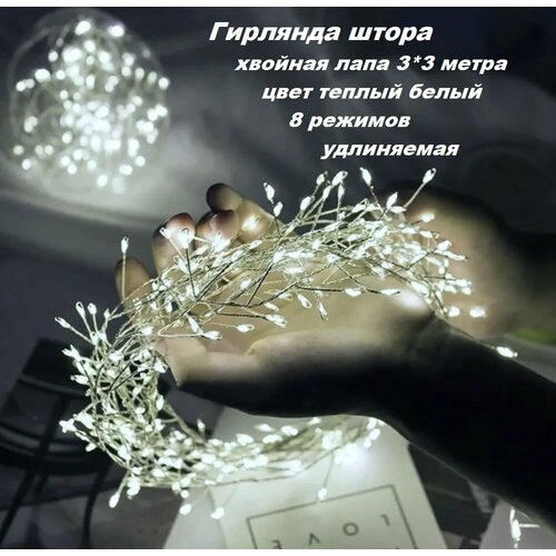 ���� �������� ����� 