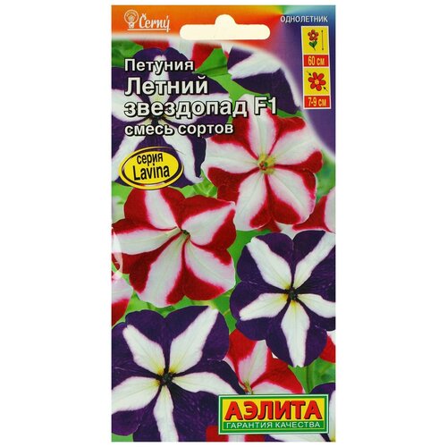 ���� ������ ������ ������� 