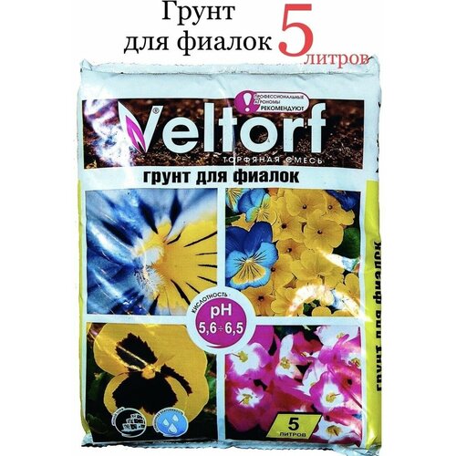 ���� ����� ��� ������ 5 �, ������ �� 544 ���